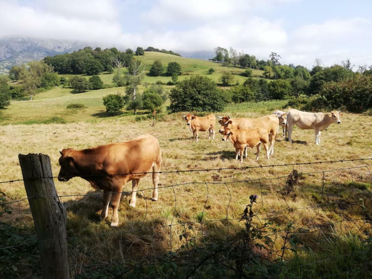 Casa Oriental Country house Cereceda (Asturias)